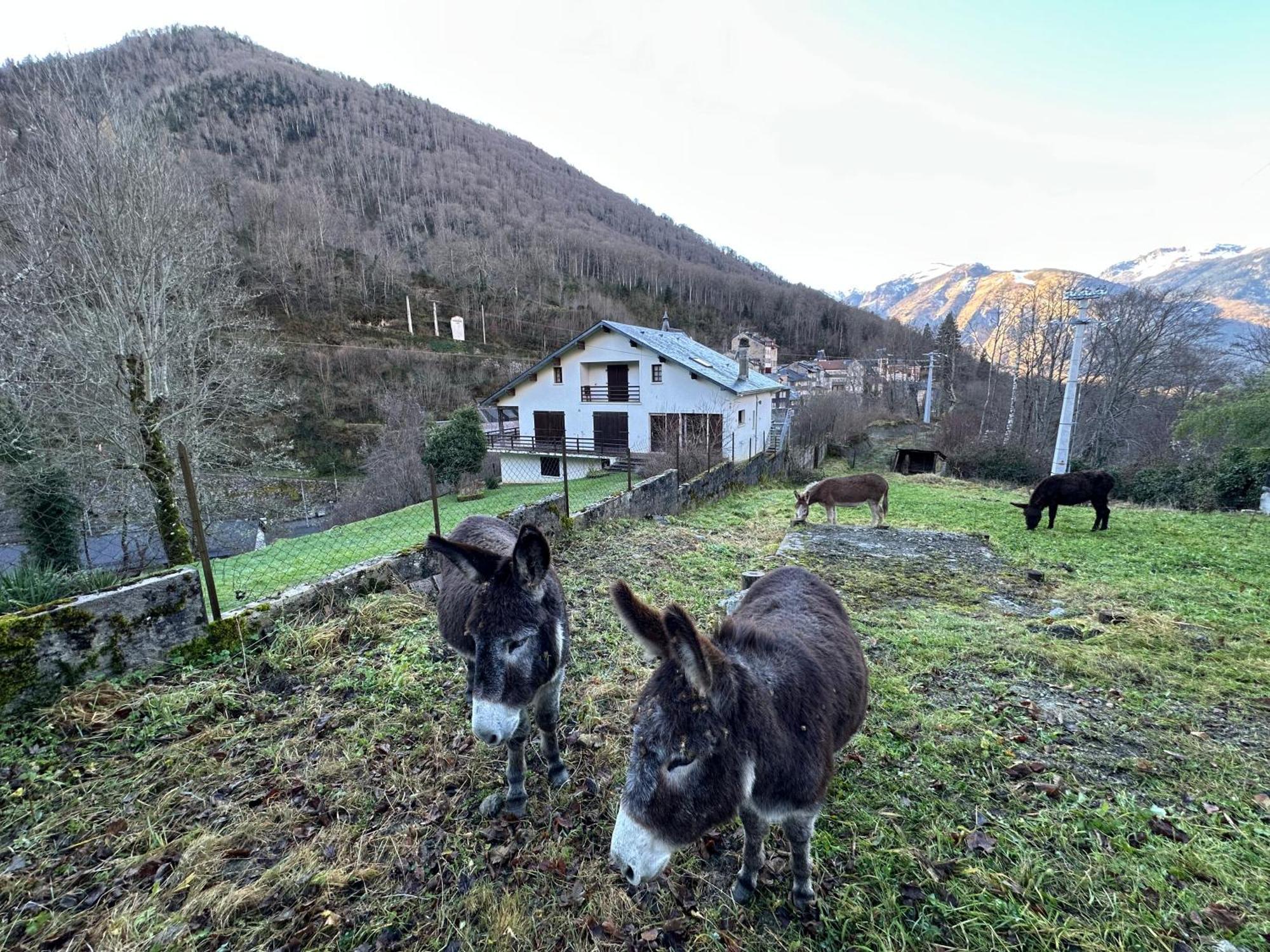 Chalet Artigalas Eaux-Bonnes Exteriér fotografie